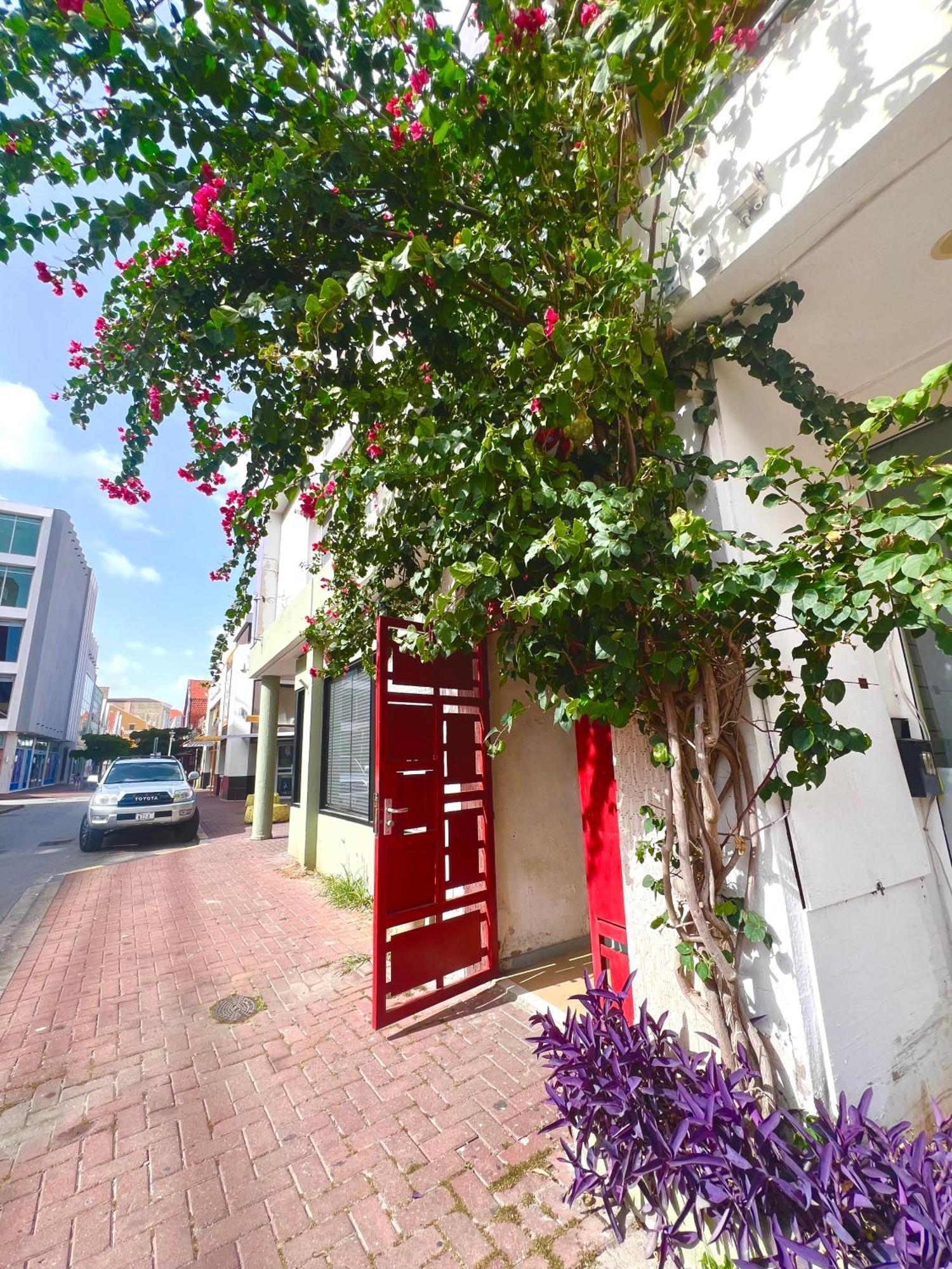 Dushi Apartamentos Willemstad Bagian luar foto